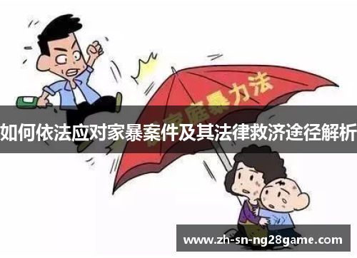 如何依法应对家暴案件及其法律救济途径解析