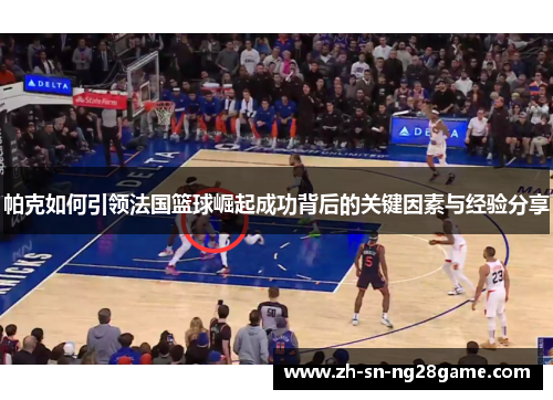帕克如何引领法国篮球崛起成功背后的关键因素与经验分享