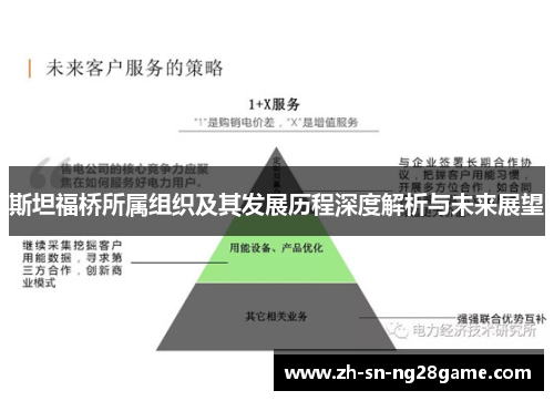 斯坦福桥所属组织及其发展历程深度解析与未来展望