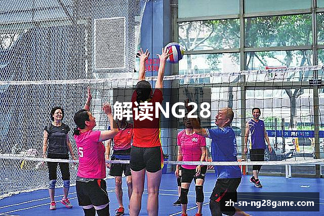 解读NG28